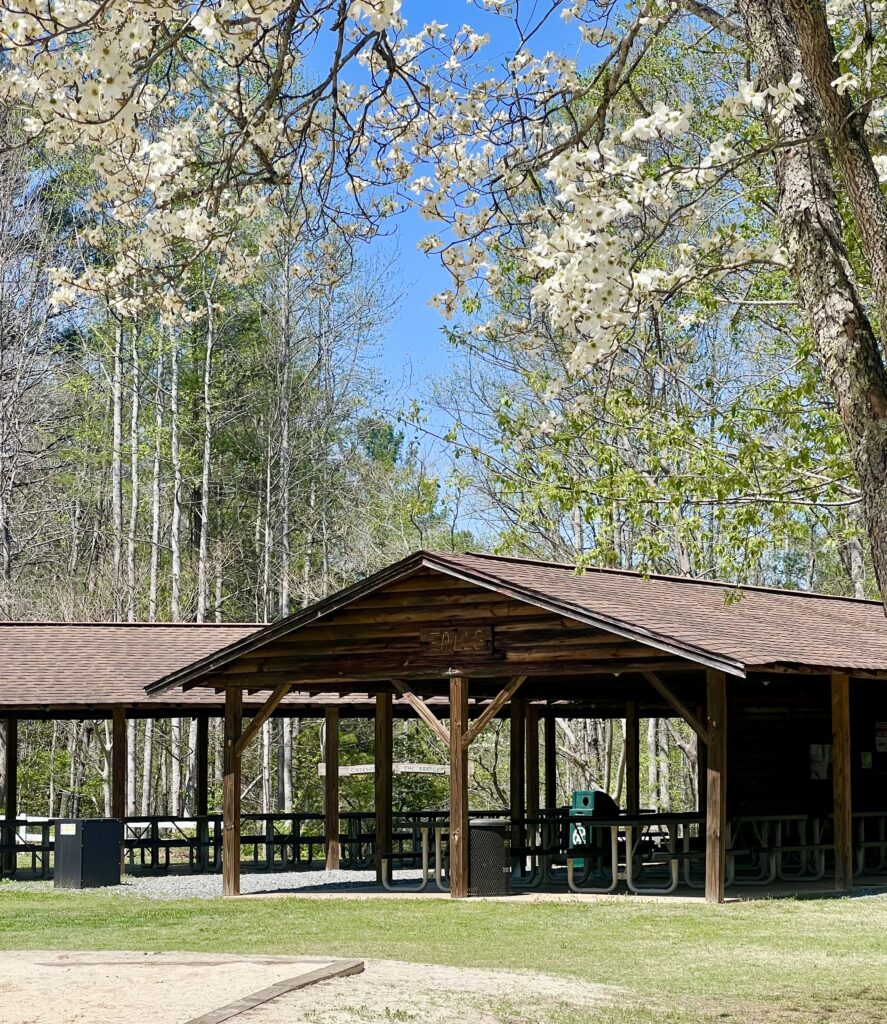 shaded picnic pavilion at mcgalliard falls park with flowers blooming from the trees overhead